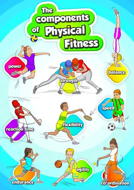 Components of Planning in Physical Education