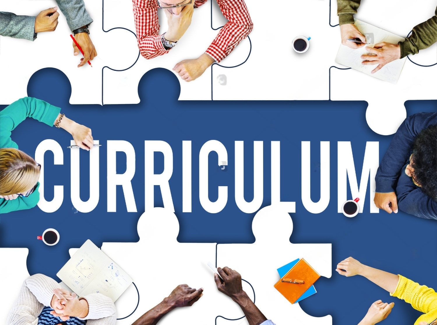 Designing Appropriate Activities and Curriculum